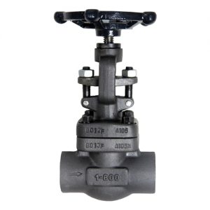 Jual Globe Valve 800 1500 Karindo Abadi Makmur